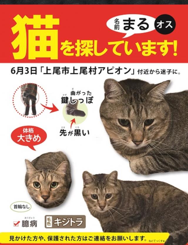 探しています