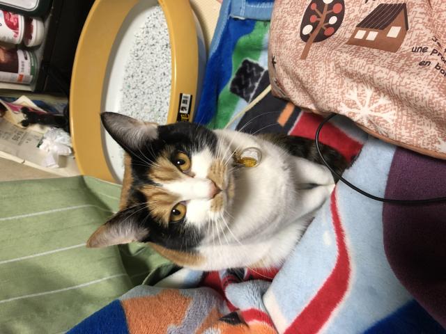 探しています