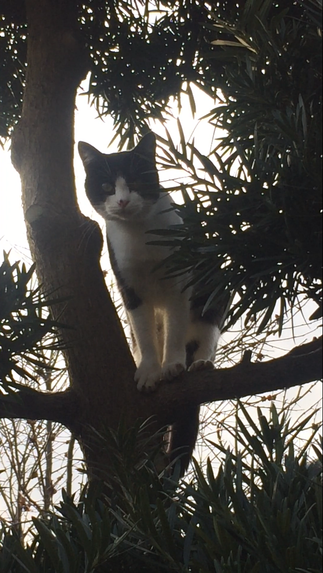 探しています