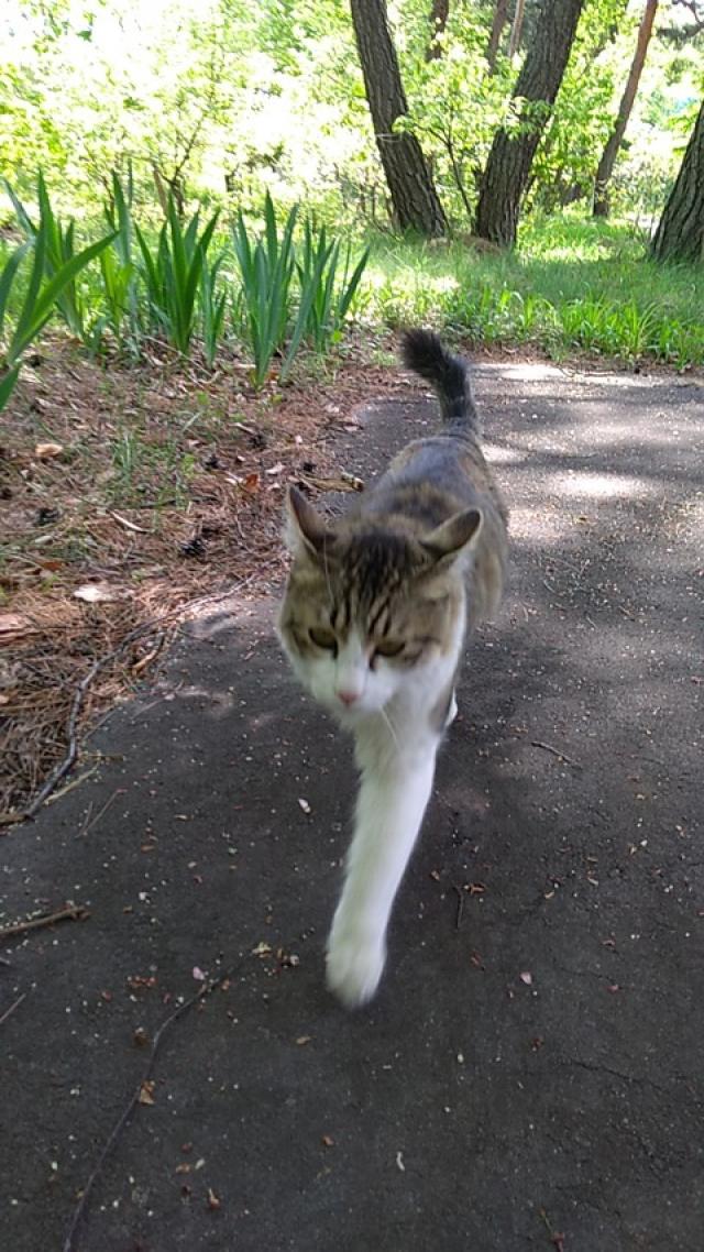 探しています