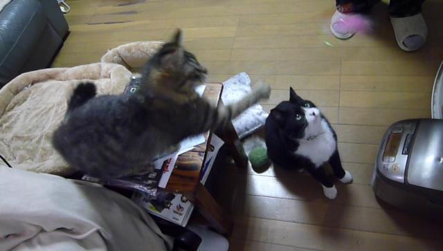 探しています