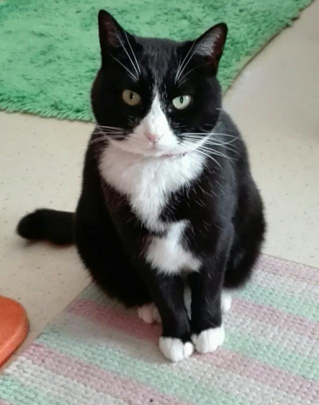 探しています