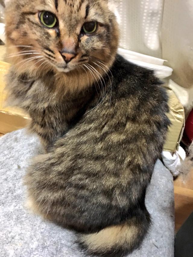 探しています