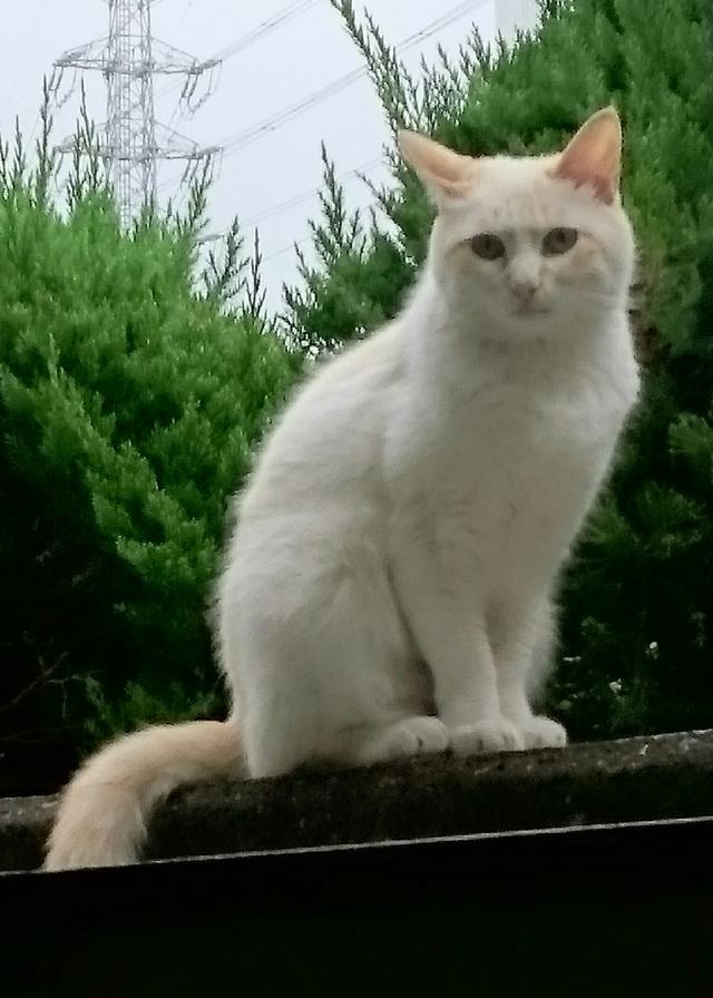 探しています