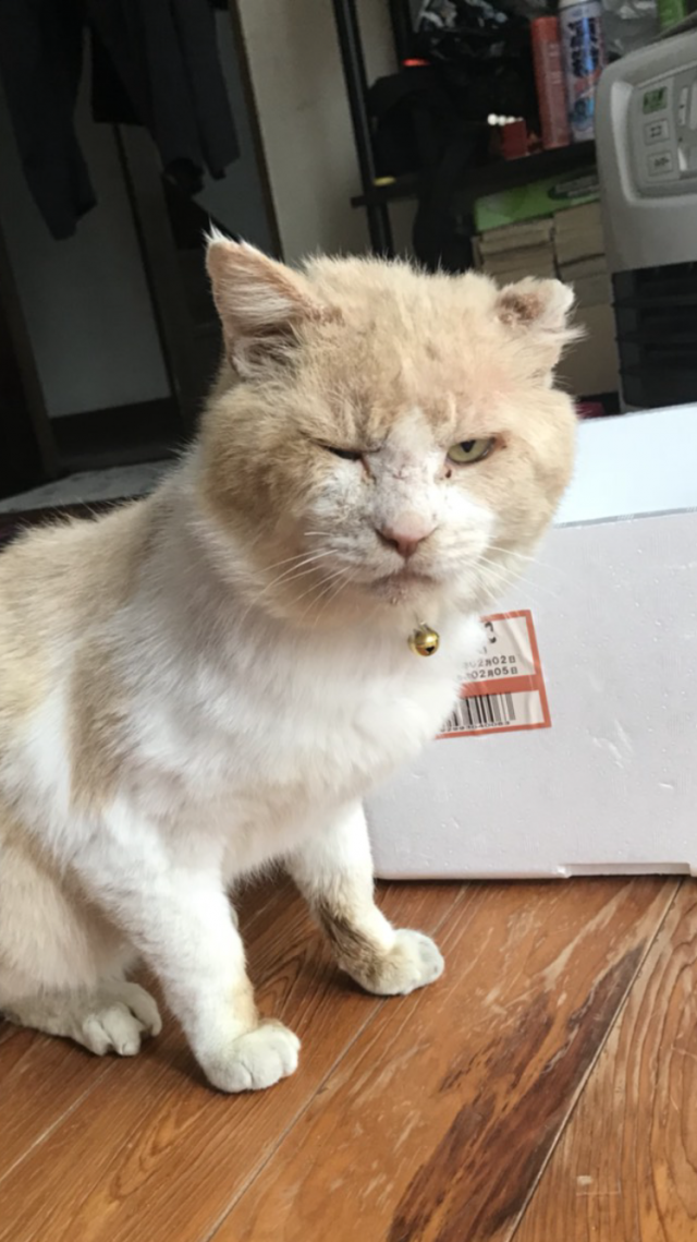 探しています