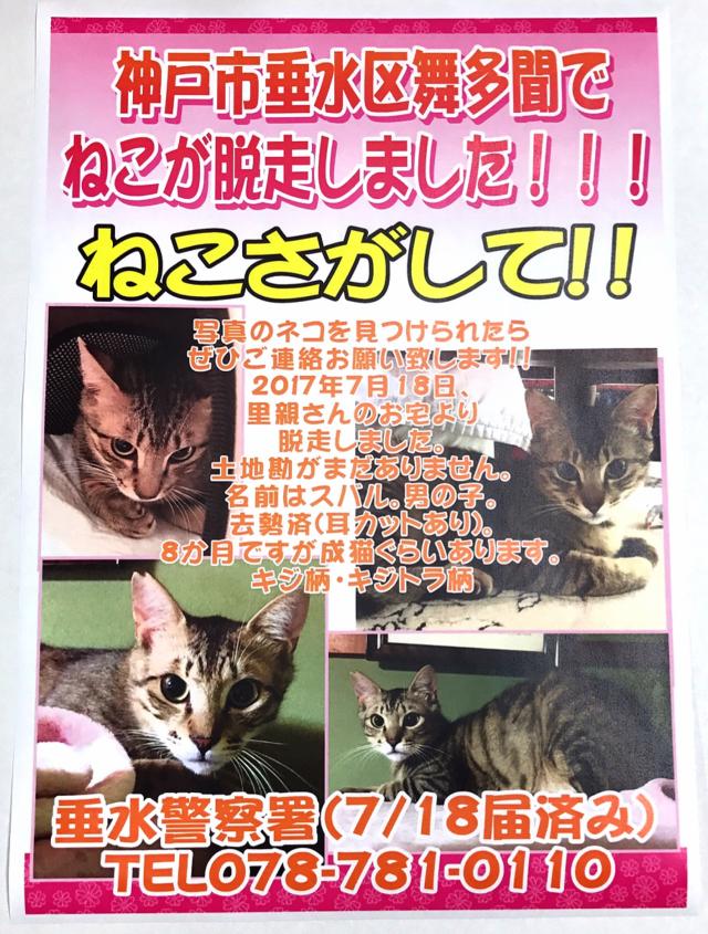 探しています