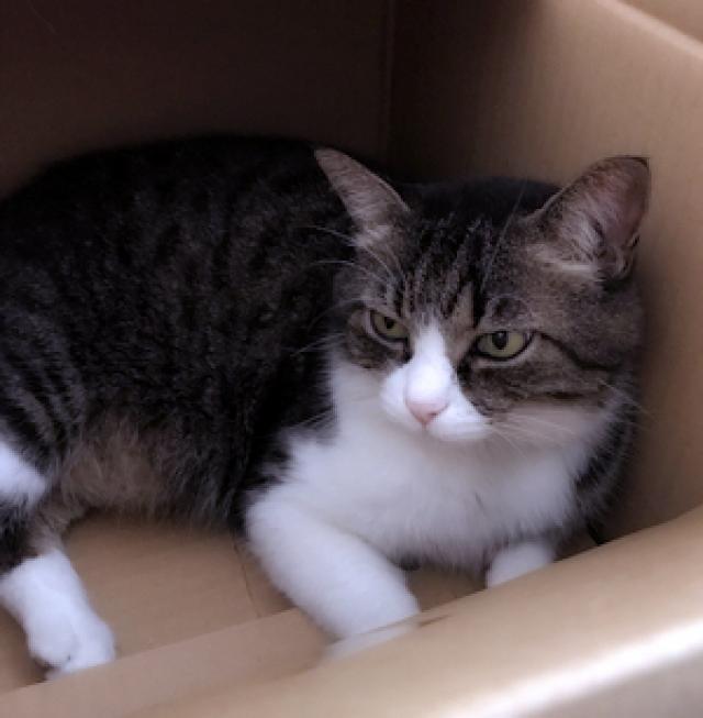 探しています
