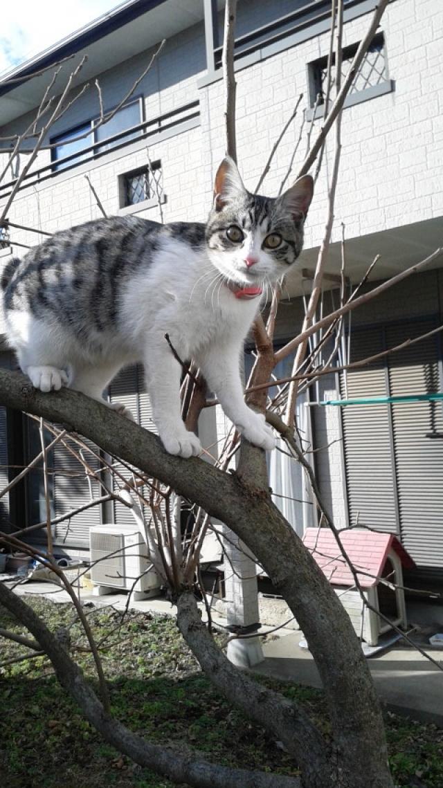 探しています