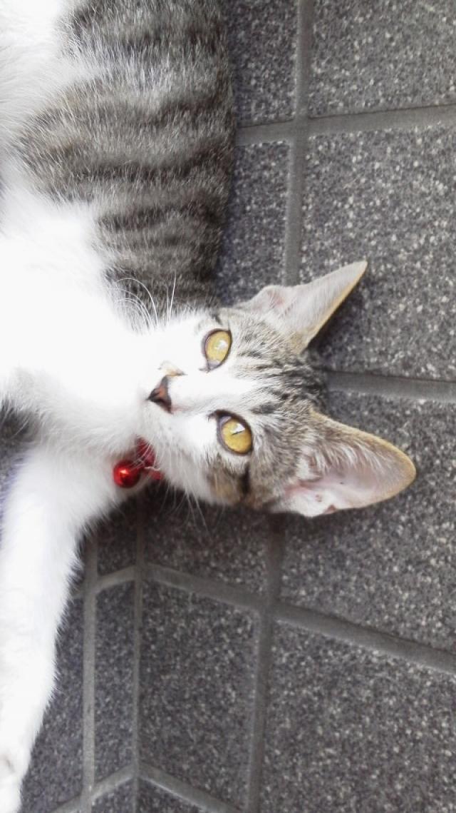 探しています