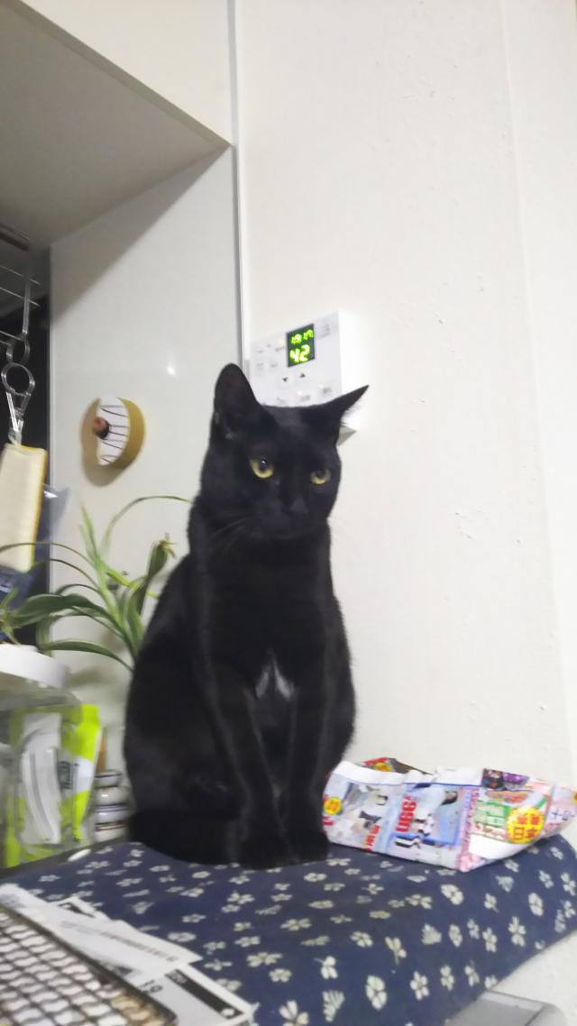 探しています