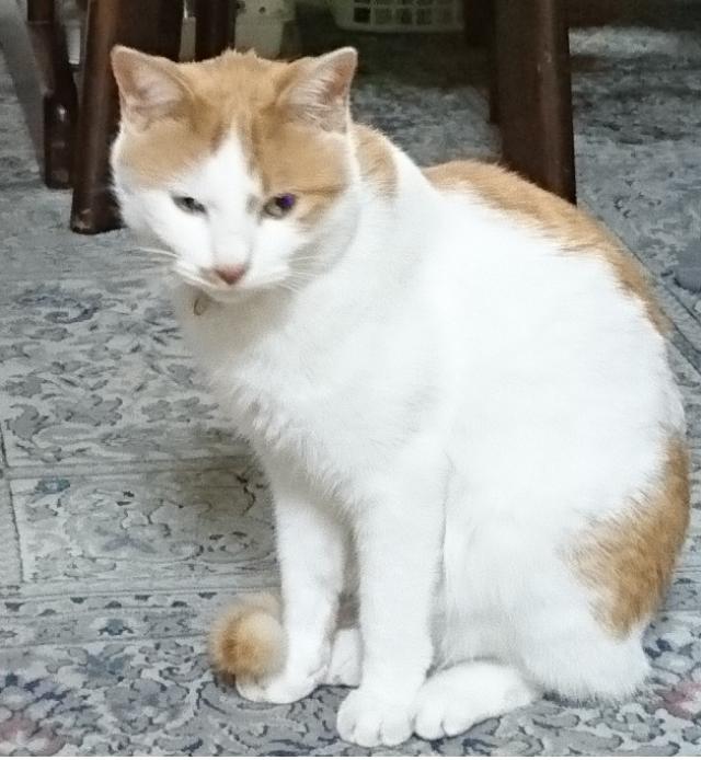探しています