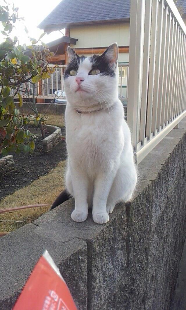 探しています