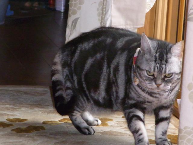 探しています