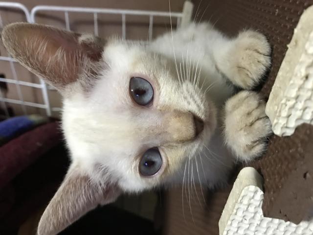 探しています