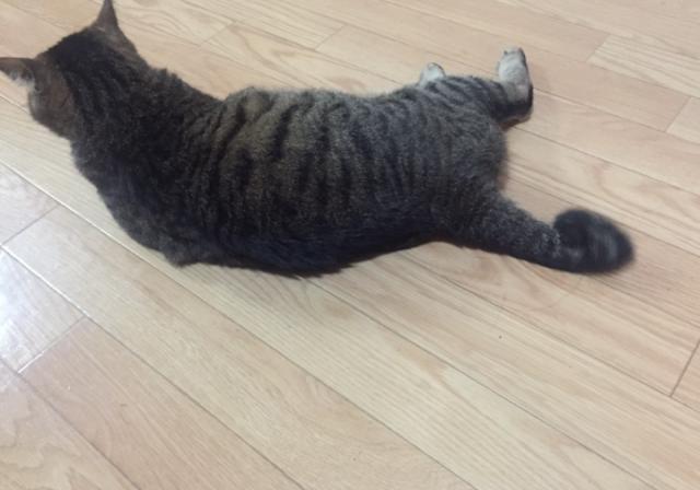 探しています