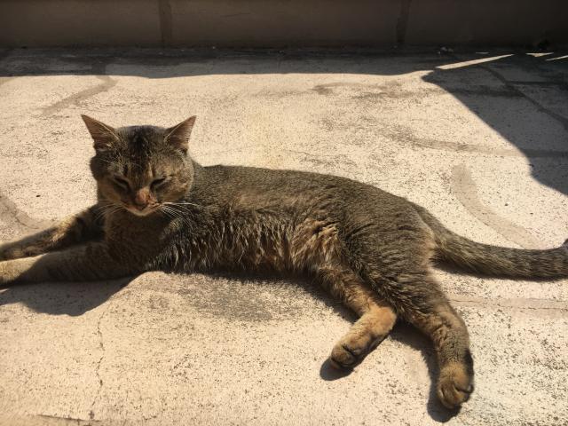 探しています