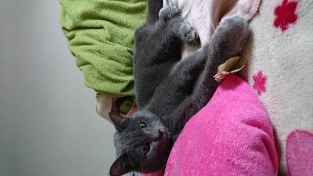 探しています