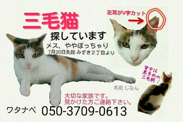 探しています