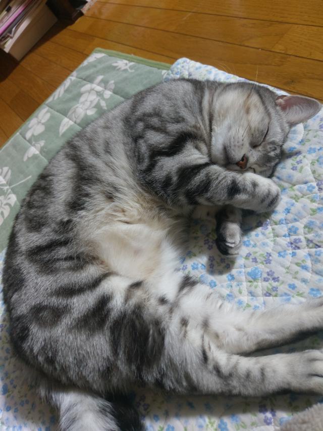 探しています
