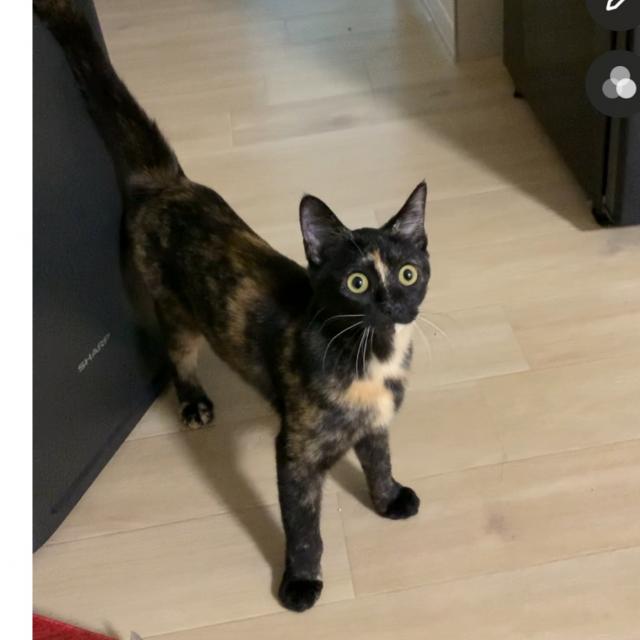 探しています