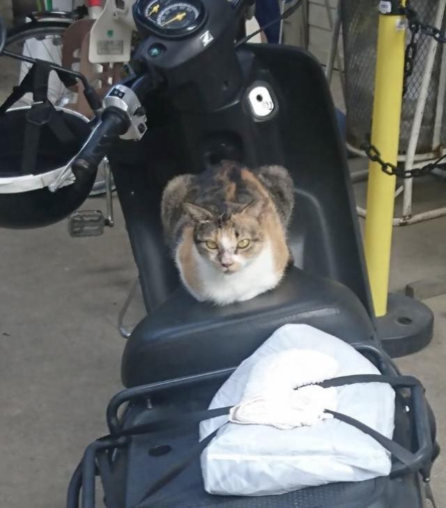 探しています