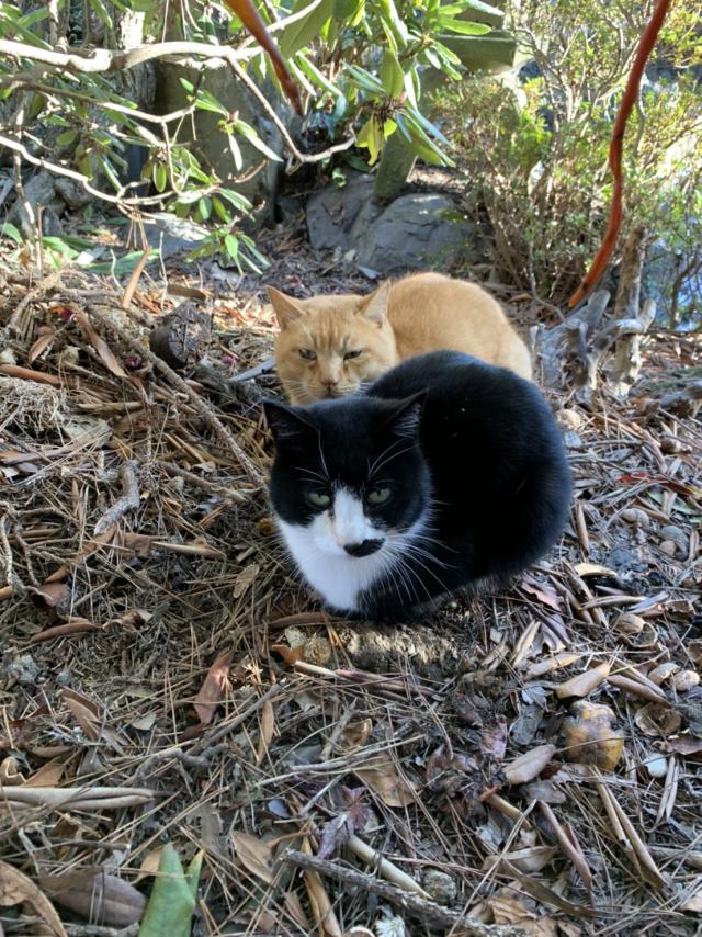 探しています