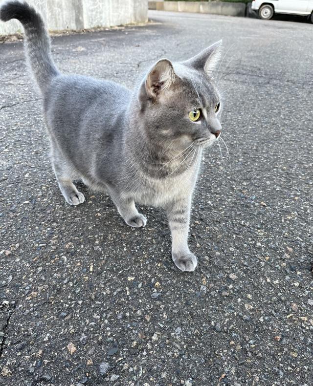 探しています