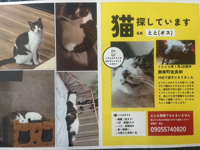 探しています