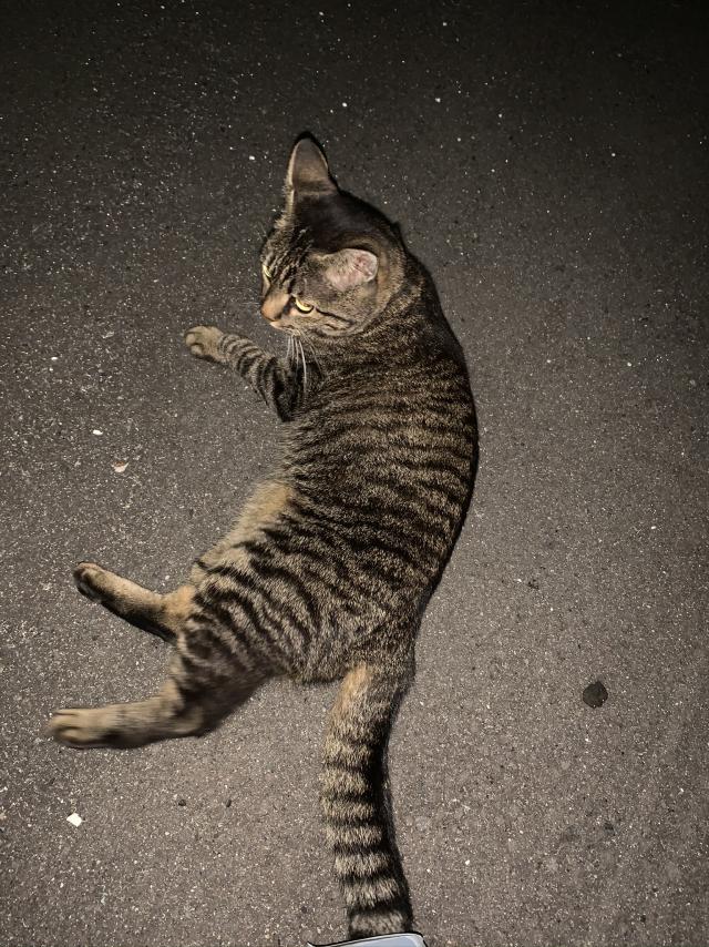 探しています