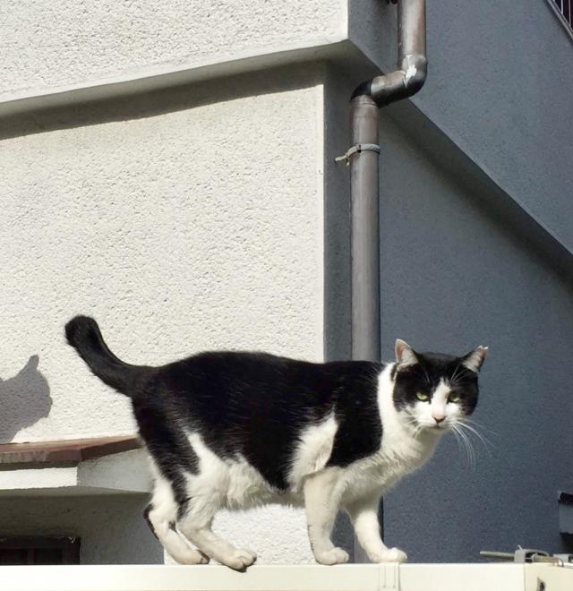 探しています