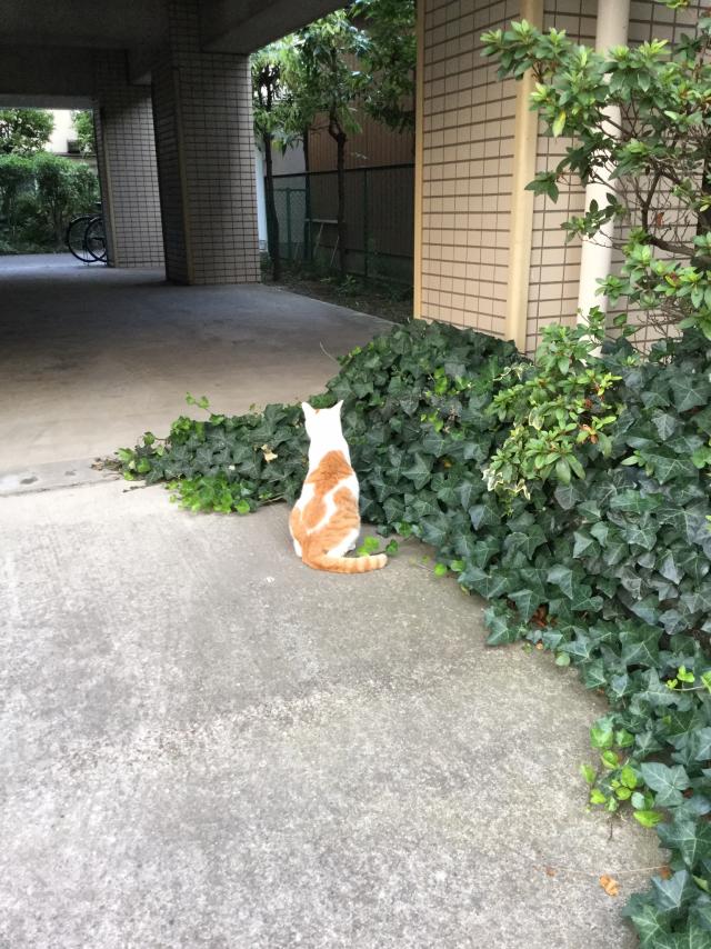 探しています
