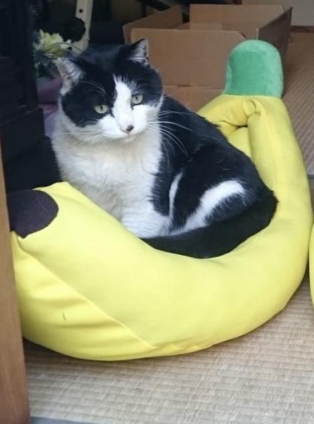 探しています