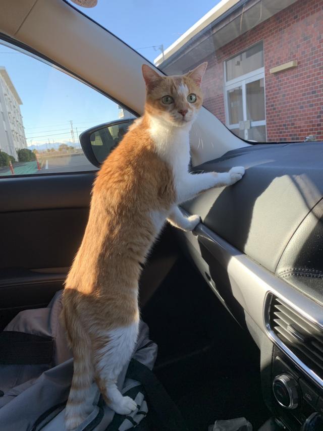探しています