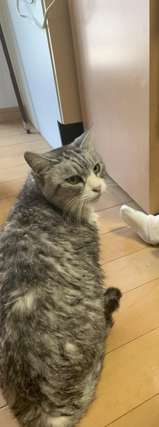 探しています