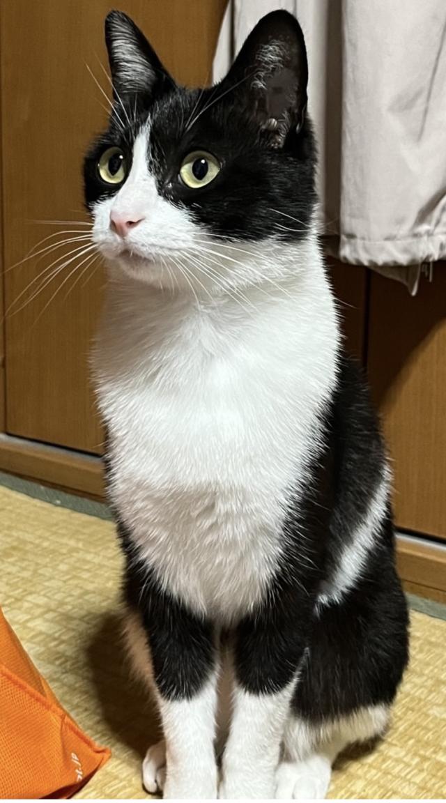 探しています