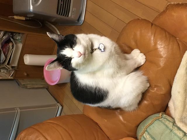 探しています