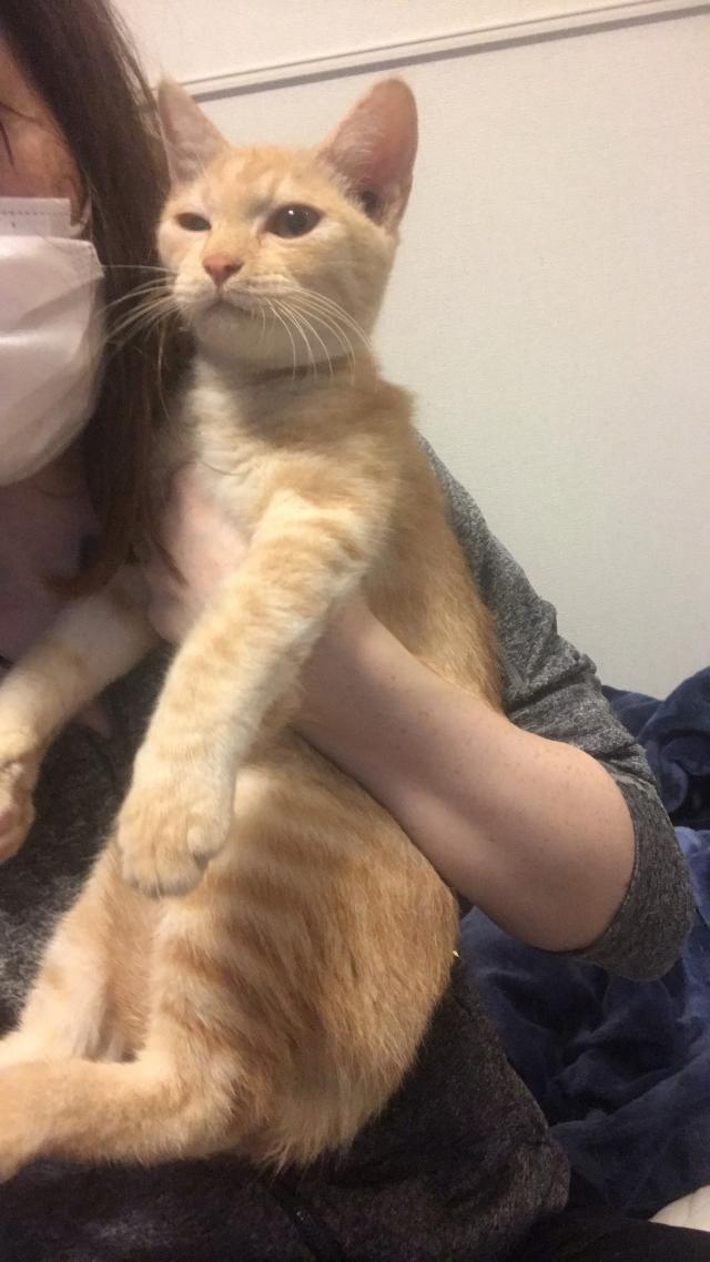 保護しました