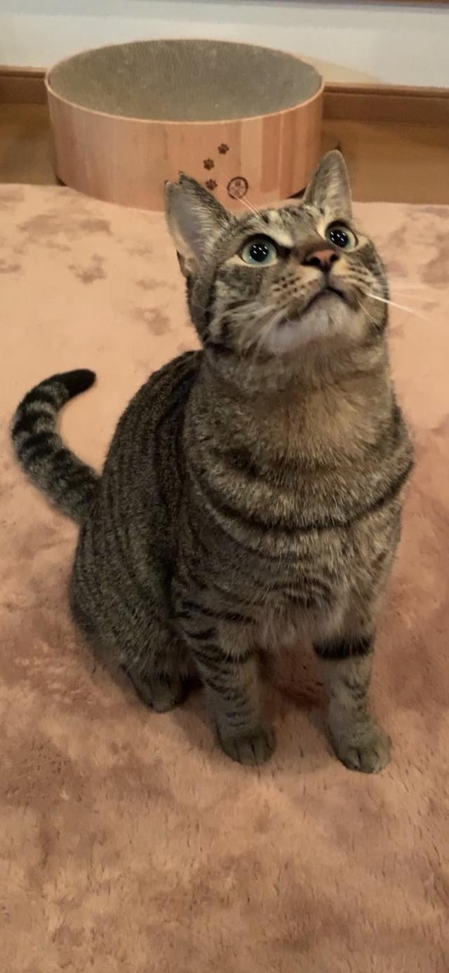 探しています