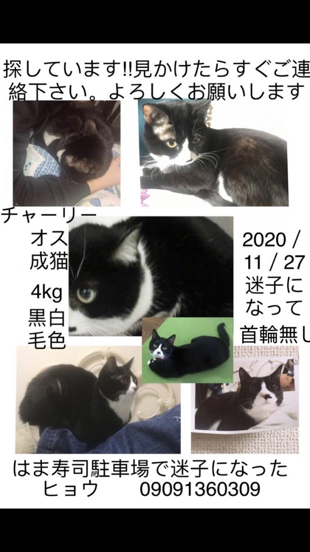 探しています