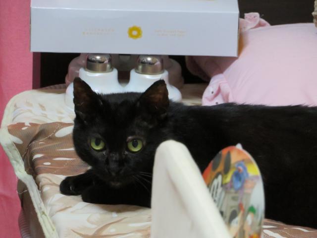 探しています