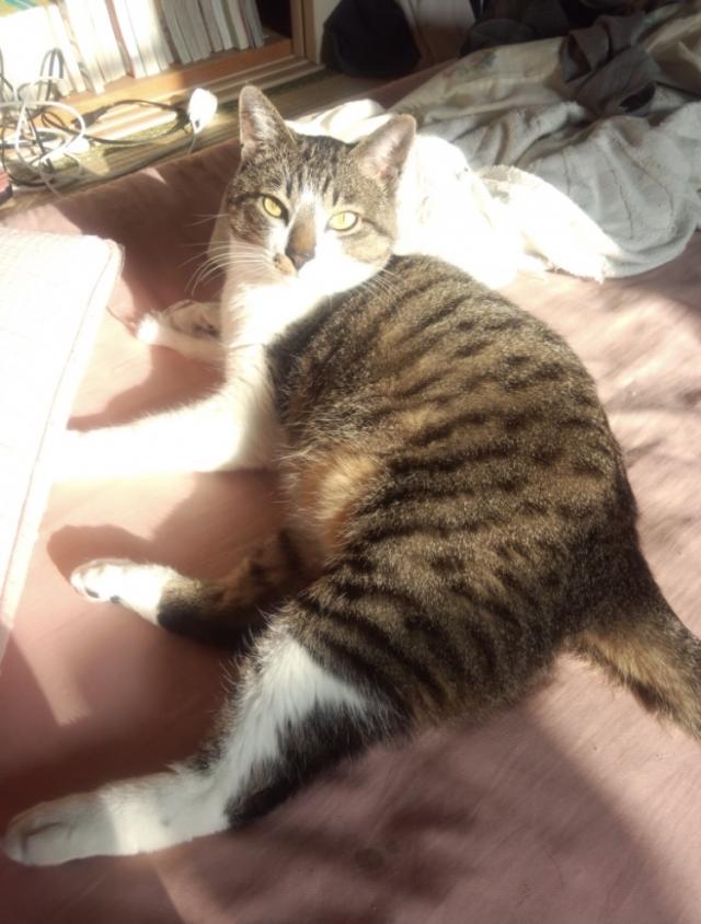 探しています
