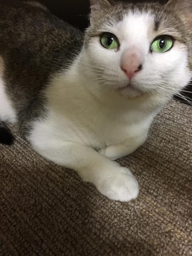 探しています