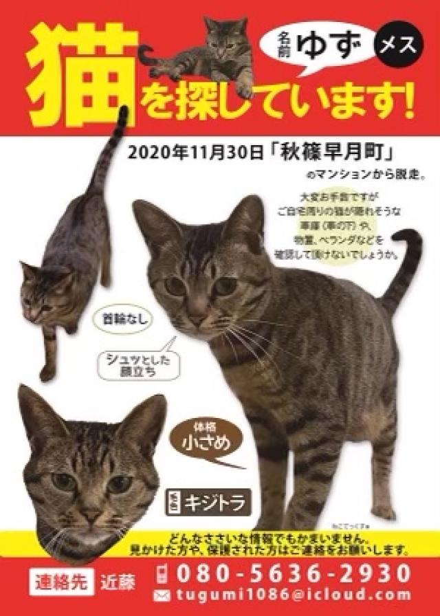 探しています