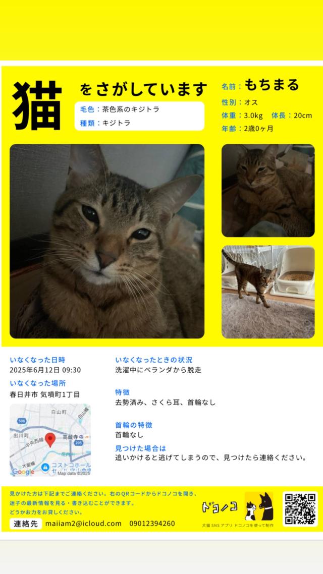 探しています