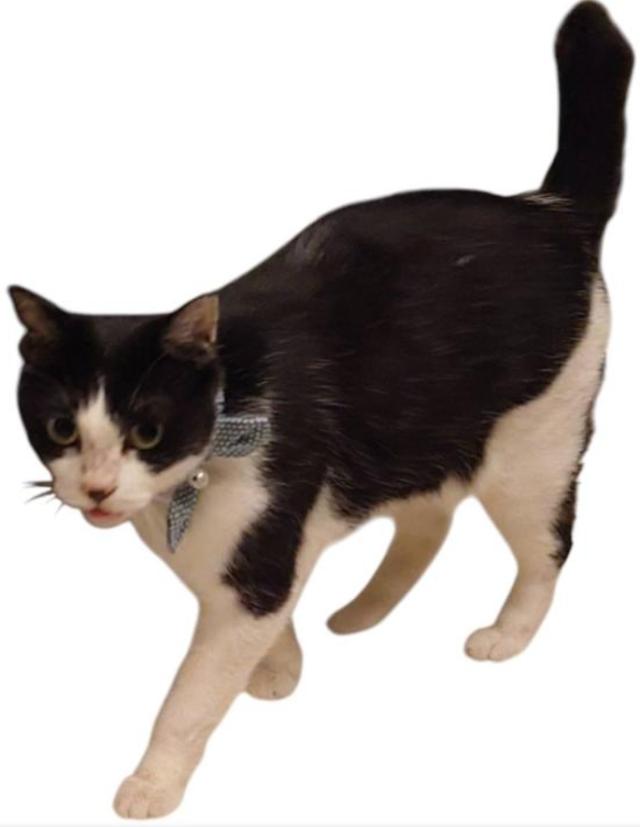 探しています