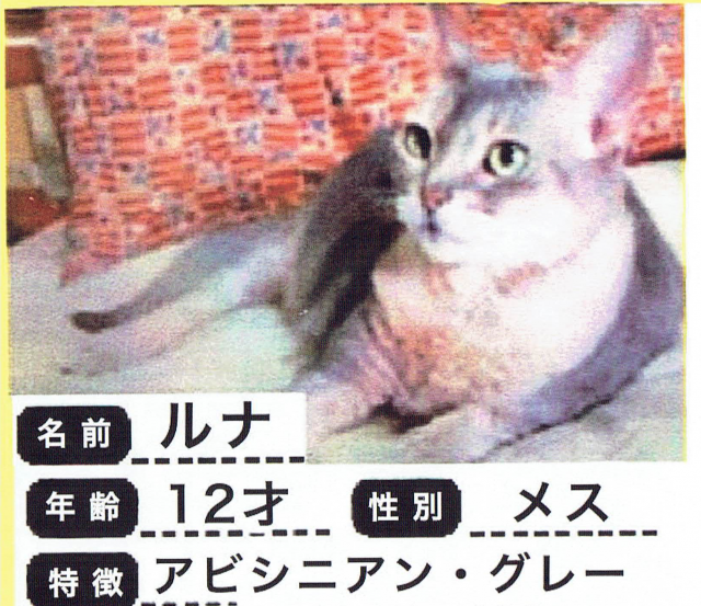 探しています