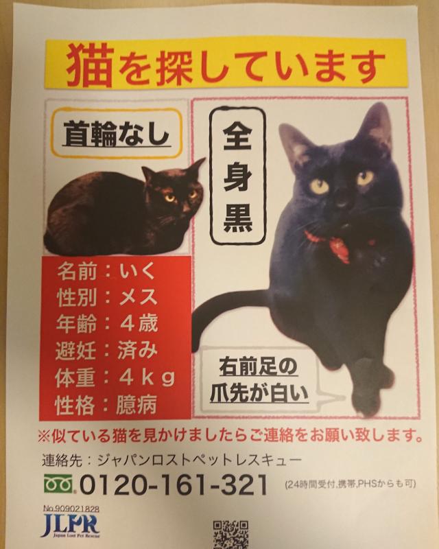 東京都北区志茂周辺で猫を探しています ネコサーチ 迷子猫と保護情報の専用掲示板 東京都北区志茂周辺で猫を探しています ネコサーチ 迷子猫と保護情報の専用掲示板