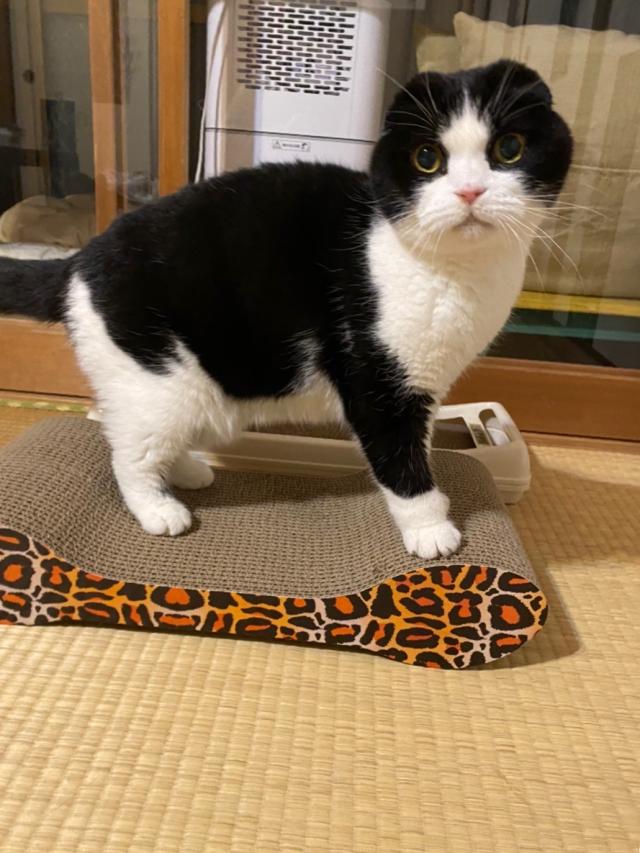 探しています