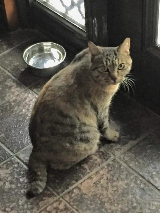 探しています