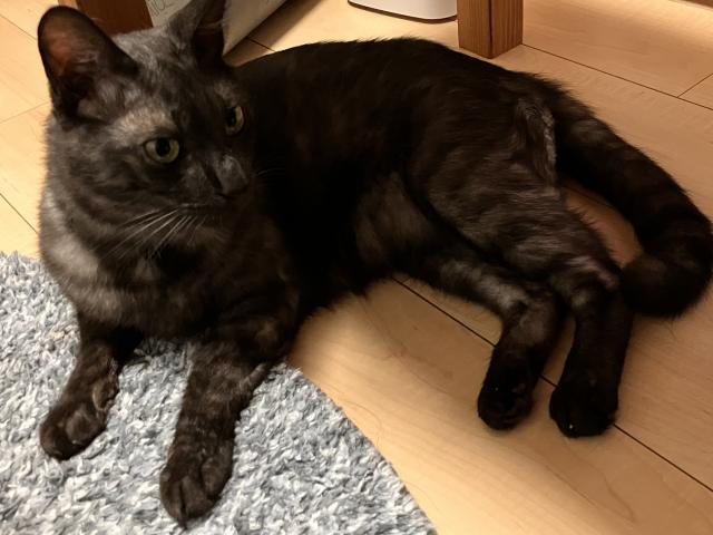 探しています